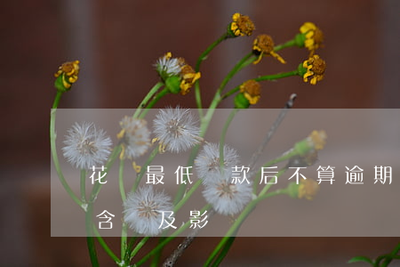 花唄最低還款后不算逾期？詳解其含義及影響